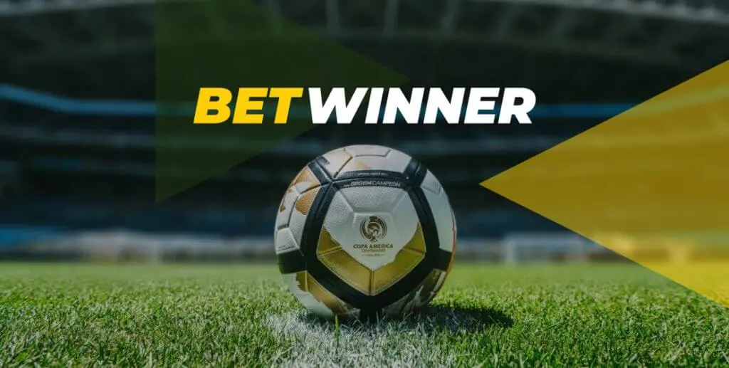 Betwinner: This Is What Professionals Do